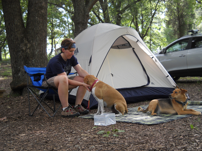 What should we pay attention to when camping wiht pets ?