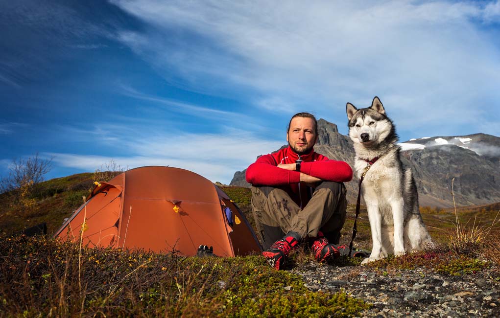 Tips on camping with dog 